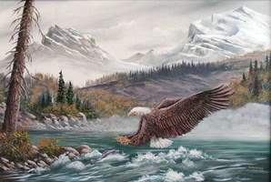 eagle stream fishing