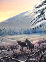 Jasper-Wolves