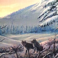 Jasper-Wolves.jpg